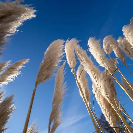 Kleinod Helena * Sankt Peter-Ording