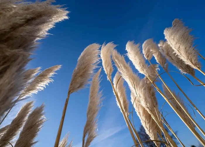 Kleinod Helena * Böhl